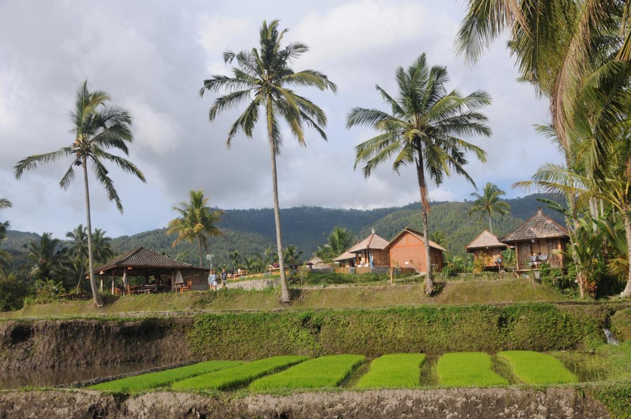 Puri Sunny Camp Villa Munduk Exterior foto