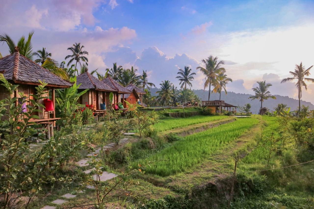 Puri Sunny Camp Villa Munduk Exterior foto